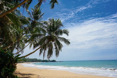 Der Blick über den weiten Sandstrand Sri Lankas - herrlich!