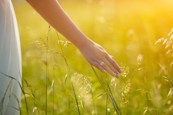 Eine Frau geht durch ein Feld und streift dabei die Pflanzen mit ihrer Hand