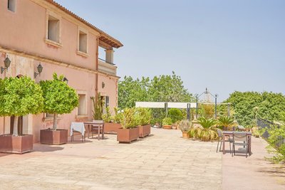 Die Terrasse umgeben von Grün